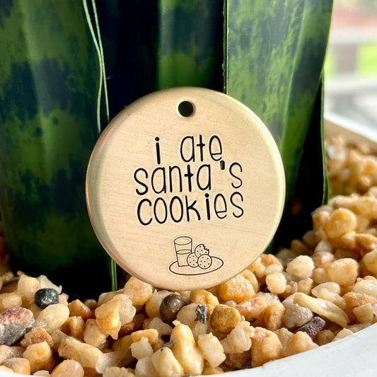 I Ate Santa's Cookies