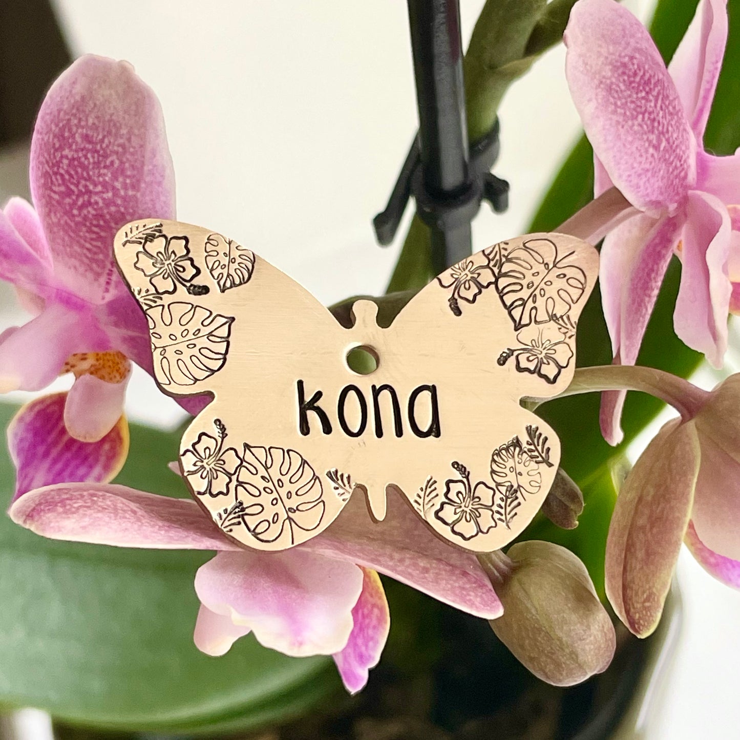 Tropical Butterfly Tag